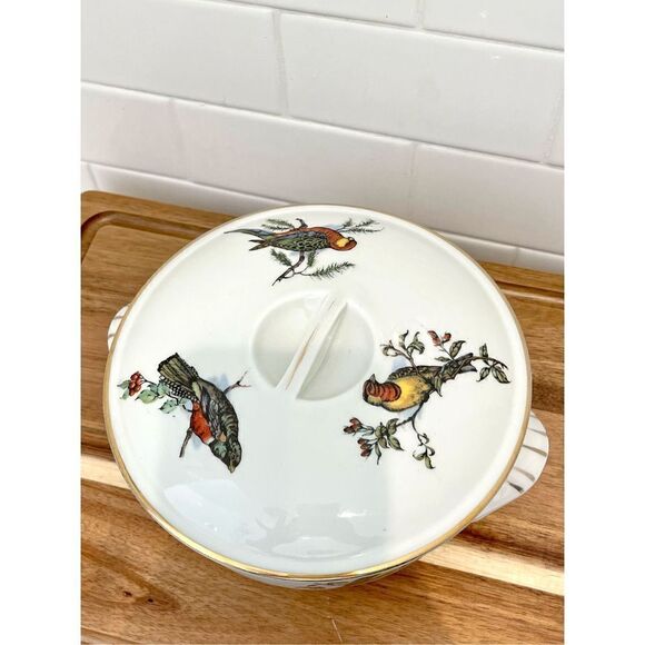 Vintage Pillivuyt France Covered Tureen Dish Rare Exotic Birds - Picture 3 of 12